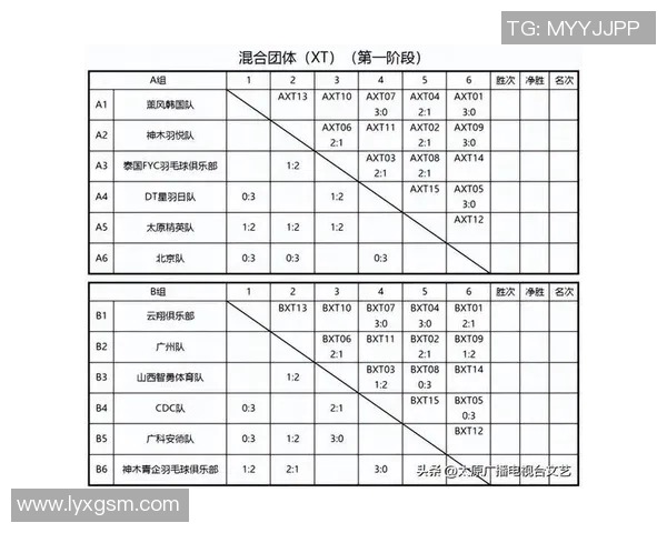 南京羽毛球队在世界锦标赛积分榜上以65分稳居第一名展现强大实力